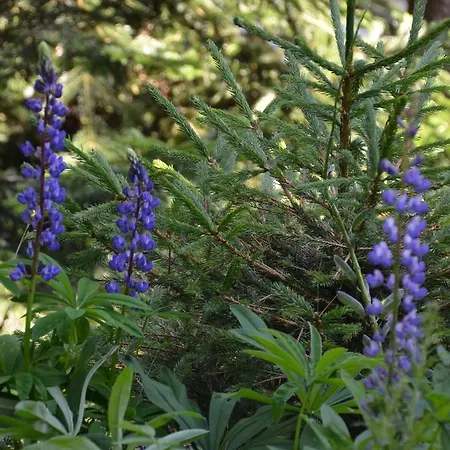 Apartamento Ferch Turracher Hohe